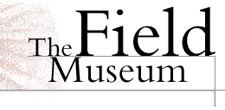 Field Museum chicago parking
