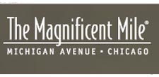 Magnificent Mile chicago parking