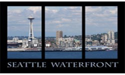 Central Waterfront Logo